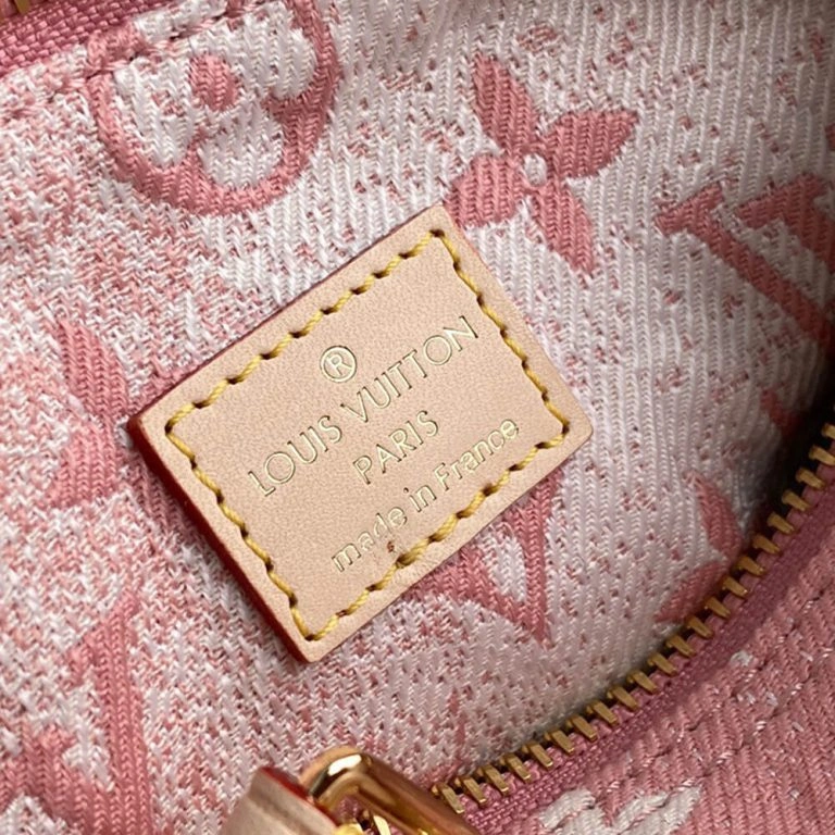 LV Nano Speedy Fashionable 301