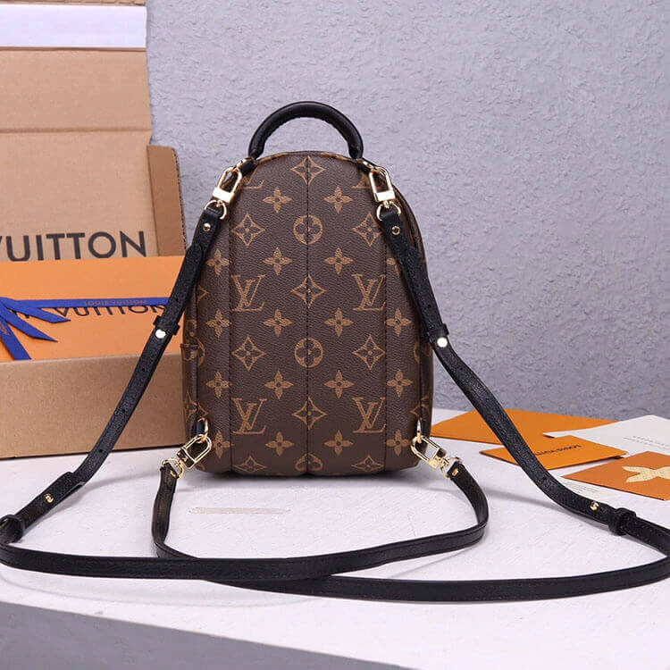 Compact LV Palm Springs Mini Backpack 719
