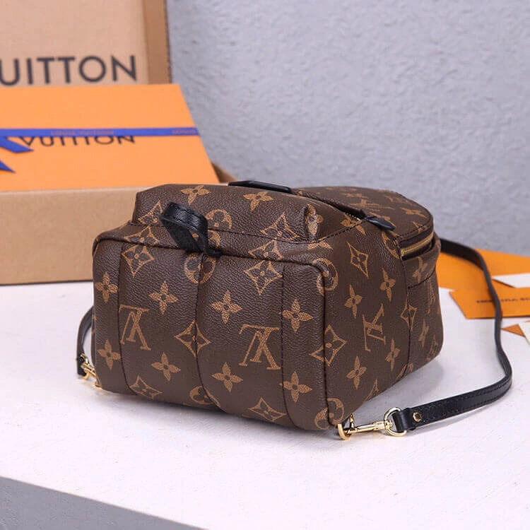 Compact LV Palm Springs Mini Backpack 719