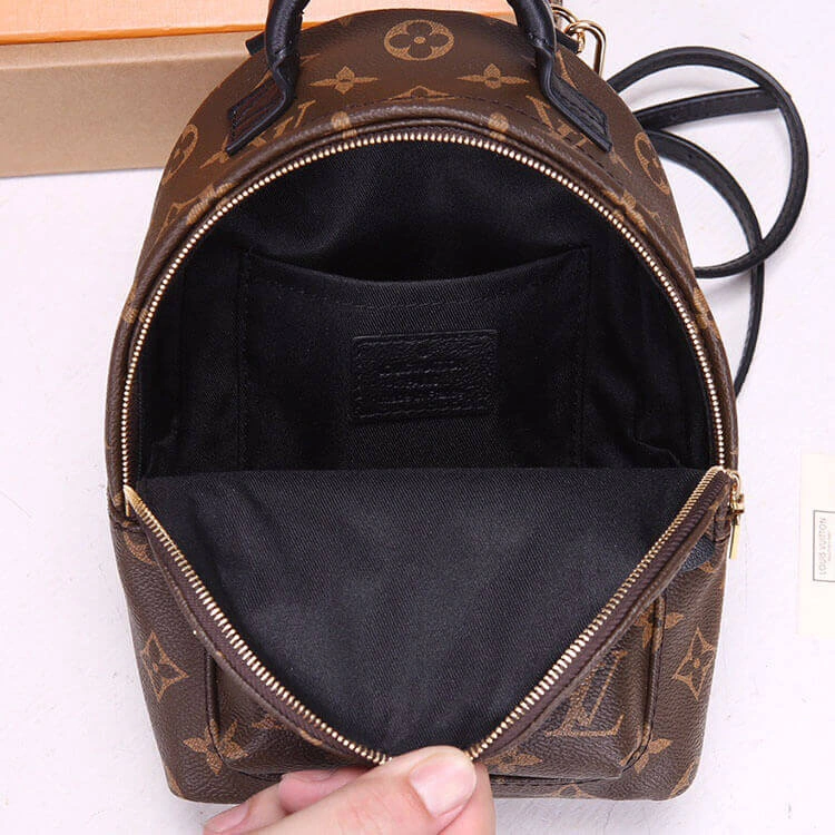 Compact LV Palm Springs Mini Backpack 719