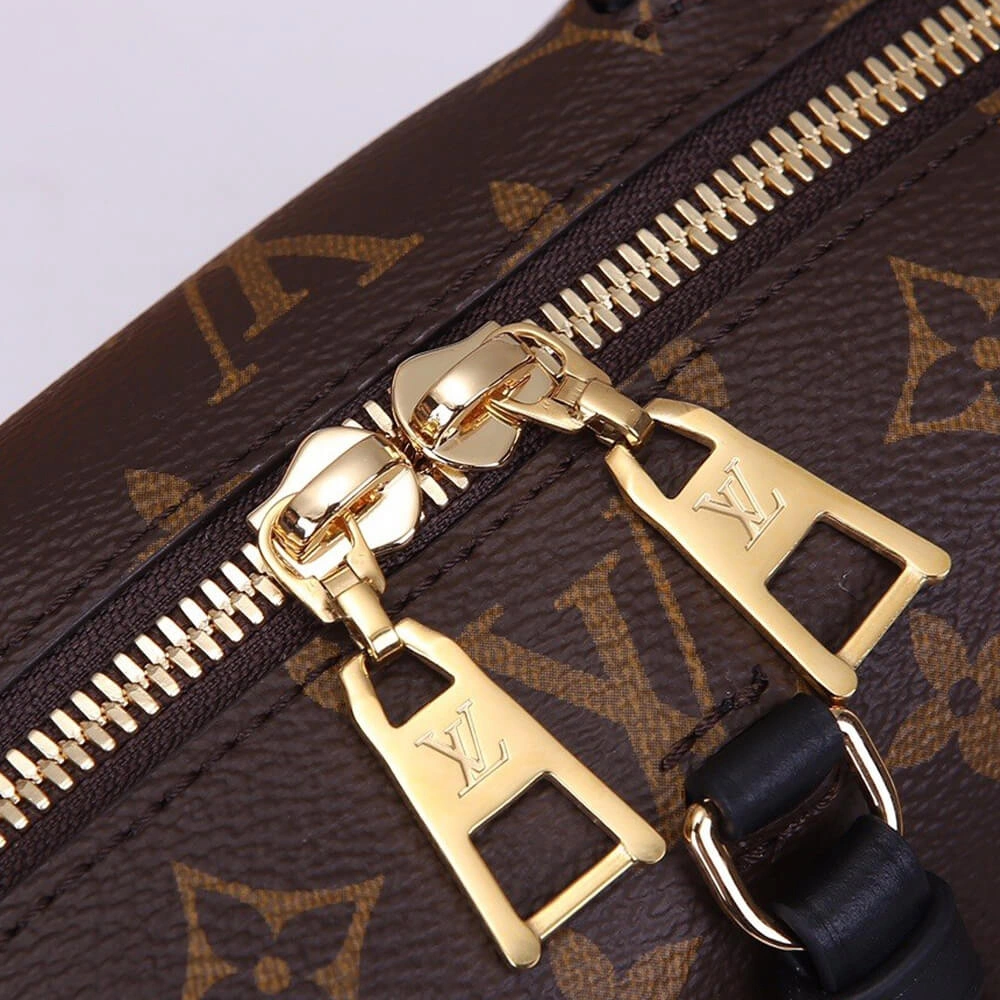 LV Petite Malle Souple Handbag Attractive 404