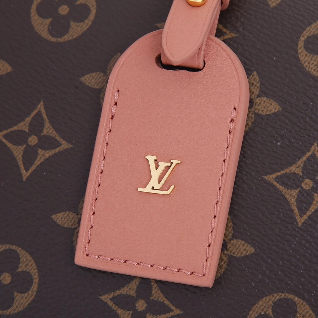 Original LV Petite Malle Souple Handbag 411