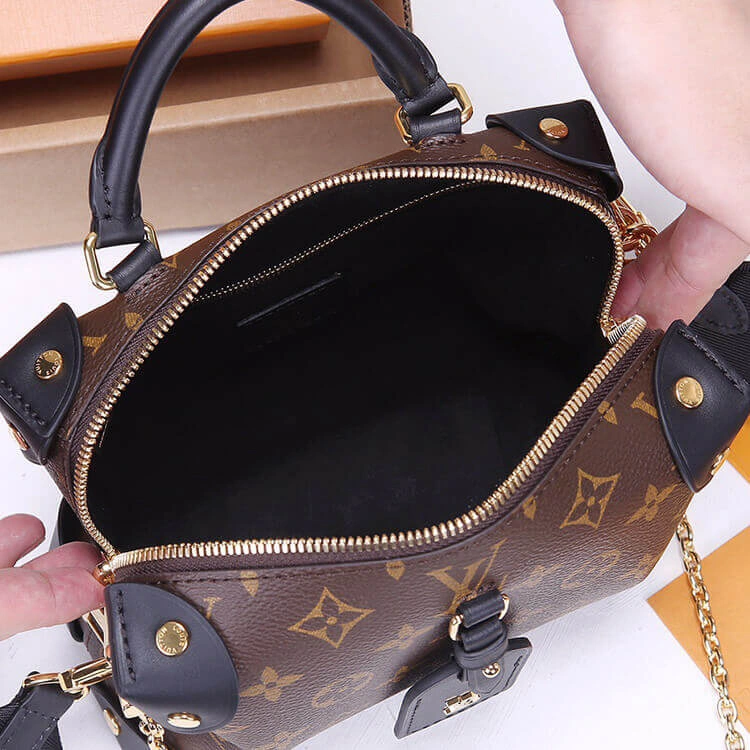 Lightweight LV Petite Malle Souple Handbag 762
