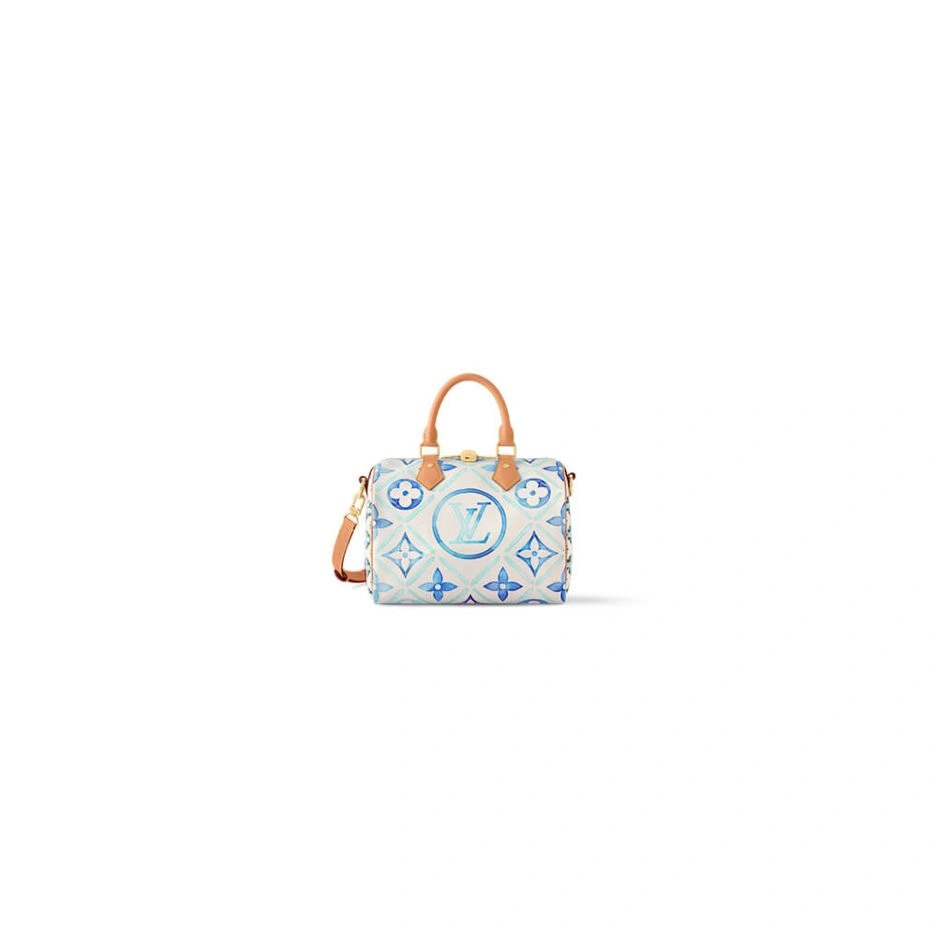 Casual LV Speedy Bandouliere 317