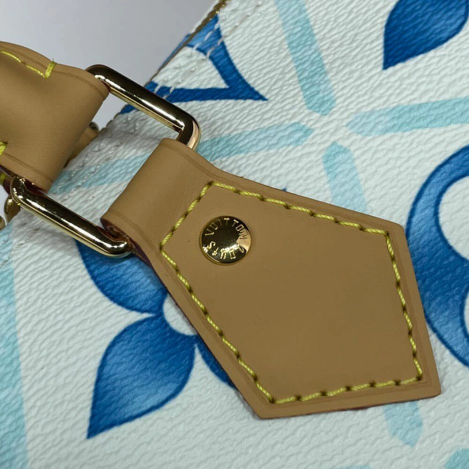 Casual LV Speedy Bandouliere 317