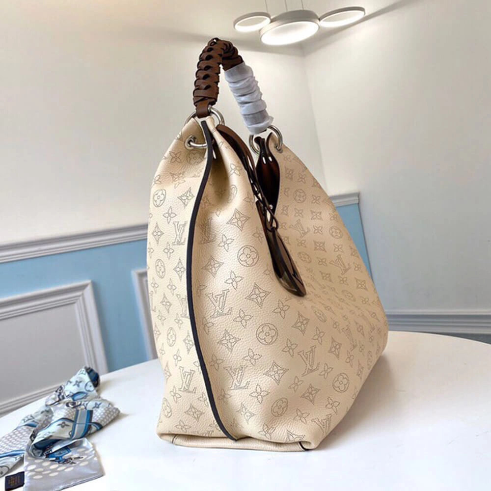 Timeless Louis Vuitton CARMEL 501