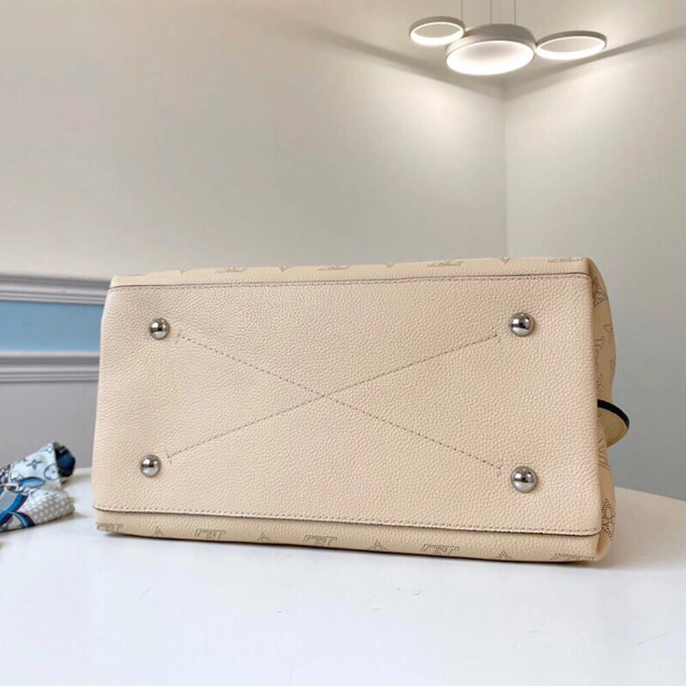 Timeless Louis Vuitton CARMEL 501