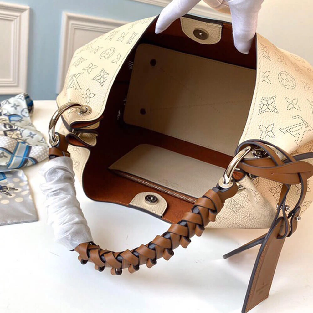 Timeless Louis Vuitton CARMEL 501