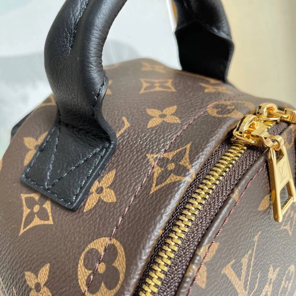 Louis Vuitton PALM SPRINGS PM Breathable 522