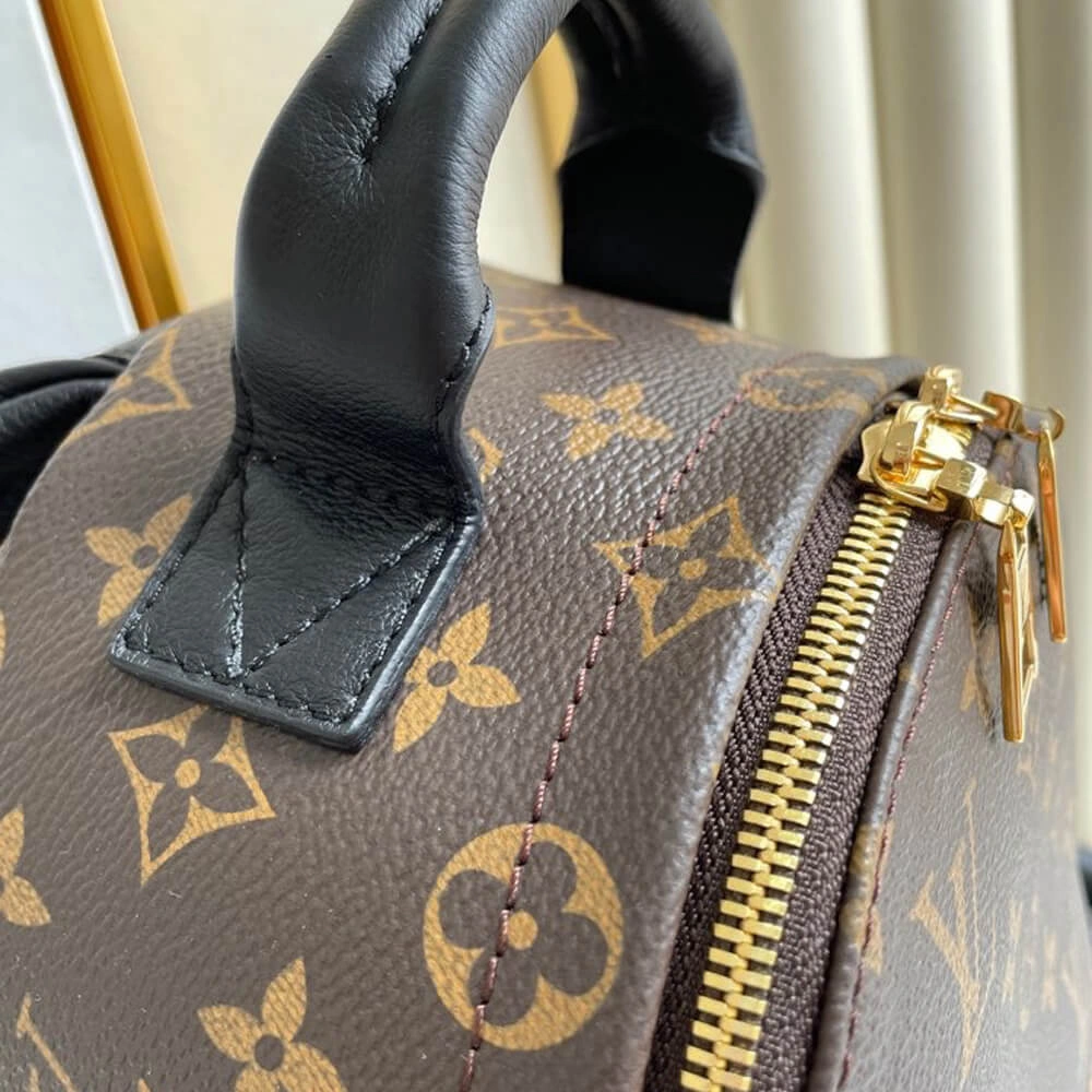 Affordable Louis Vuitton PALM SPRINGS PM 521
