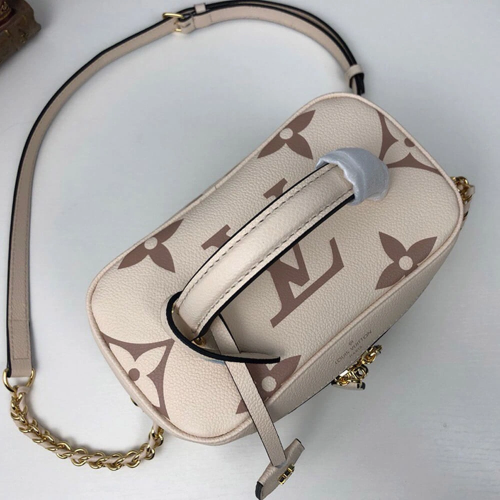 Louis Vuitton VANITY PM BAG AllSeason 629