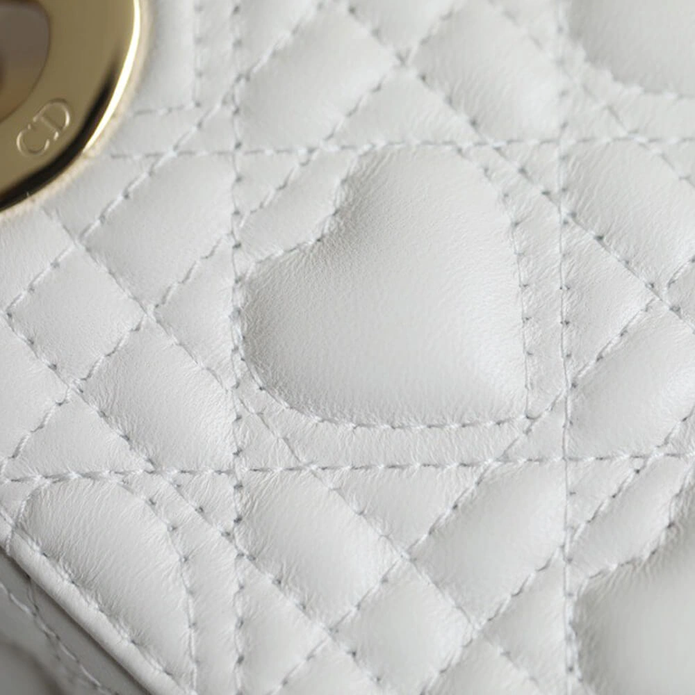 Minimalist MINI LADY DIOR DIORAMOUR BAG 1355