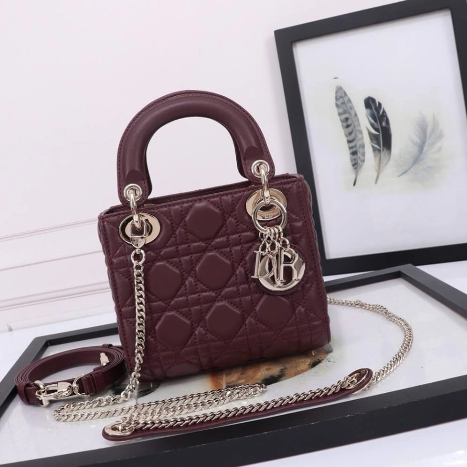 Mini Lady Dior Bag Thermal 1306