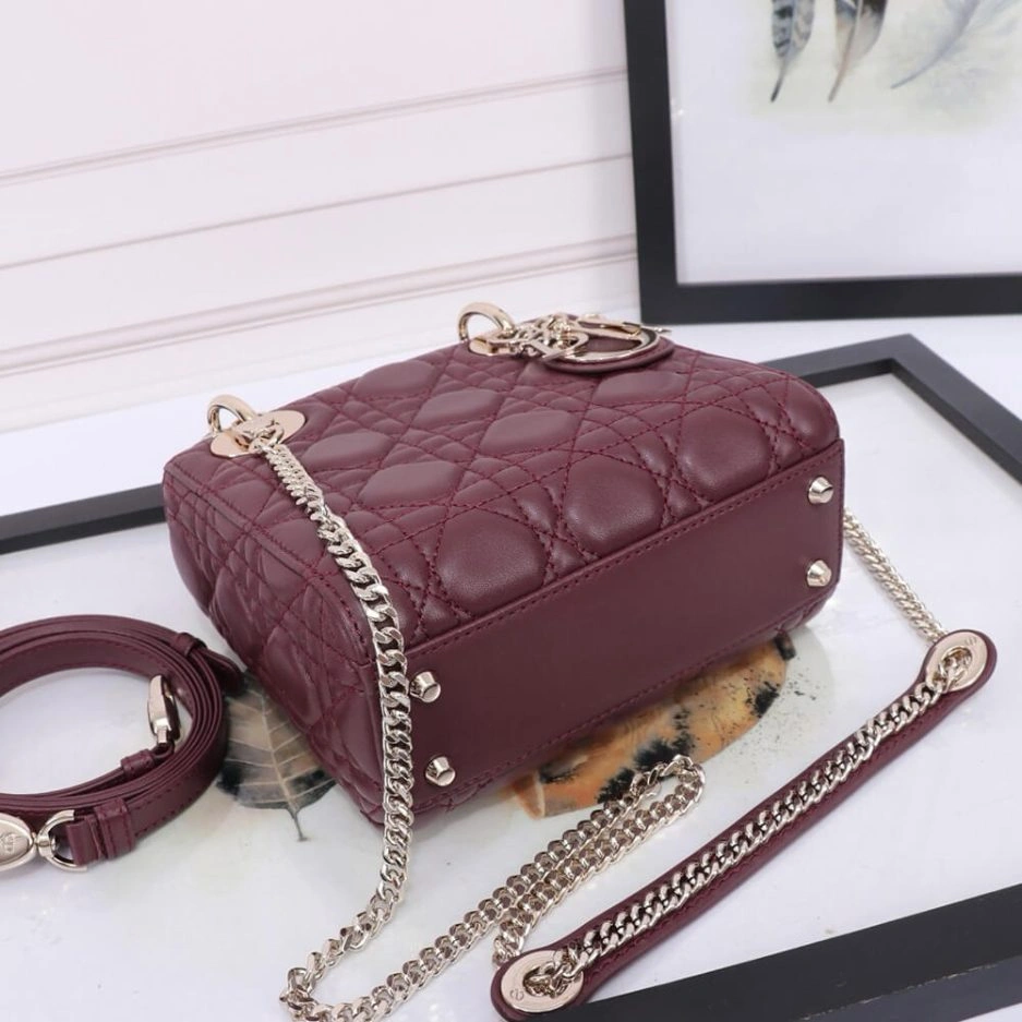 Mini Lady Dior Bag Thermal 1306