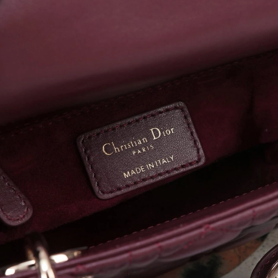 Mini Lady Dior Bag Thermal 1306