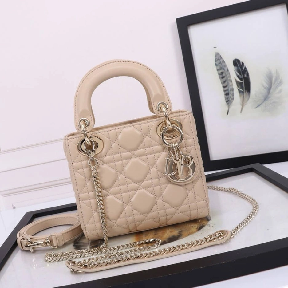 Mini Lady Dior Bag Soft 1304