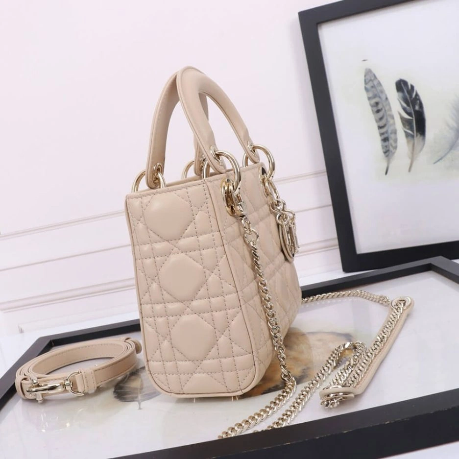 Mini Lady Dior Bag Soft 1304