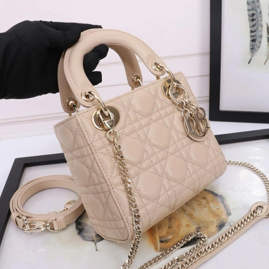 Mini Lady Dior Bag Soft 1304