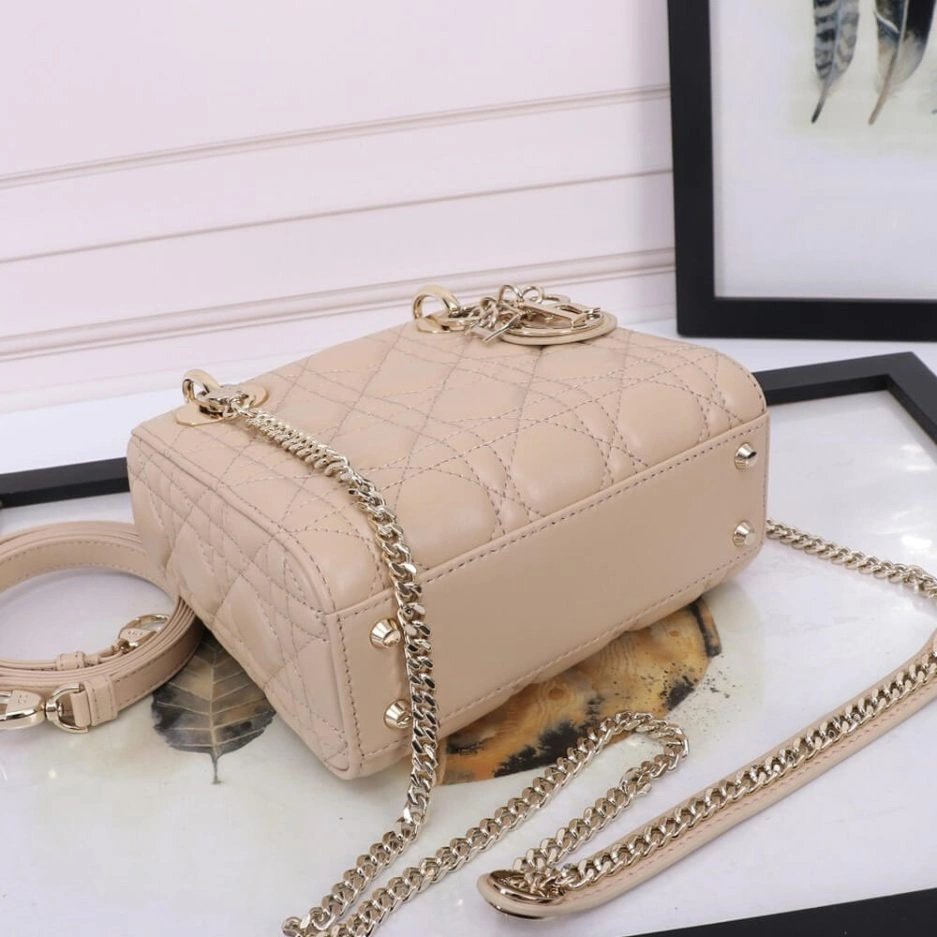 Mini Lady Dior Bag Soft 1304