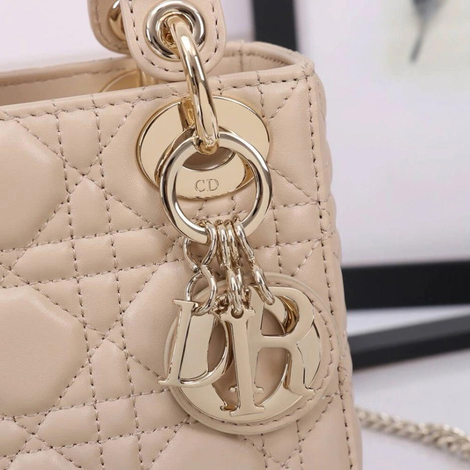 Mini Lady Dior Bag Soft 1304