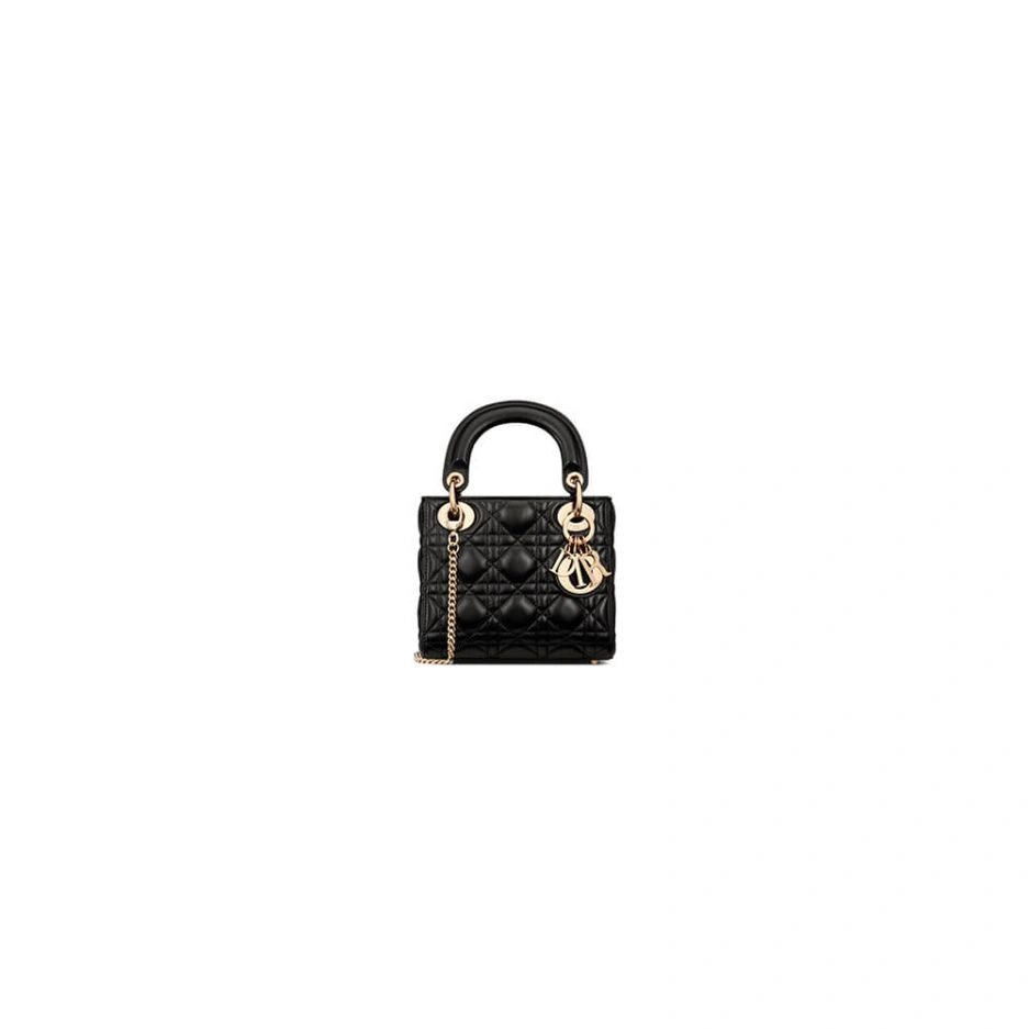 QuickDry Mini Lady Dior Bag 1289