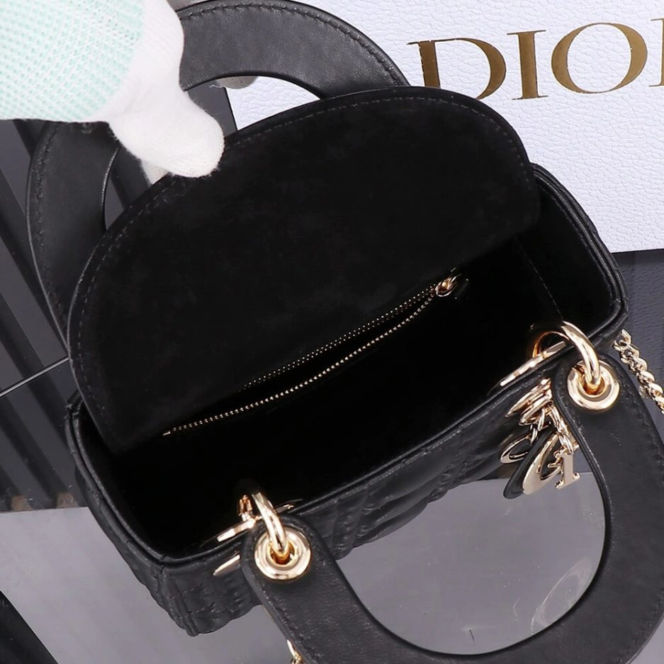 QuickDry Mini Lady Dior Bag 1289