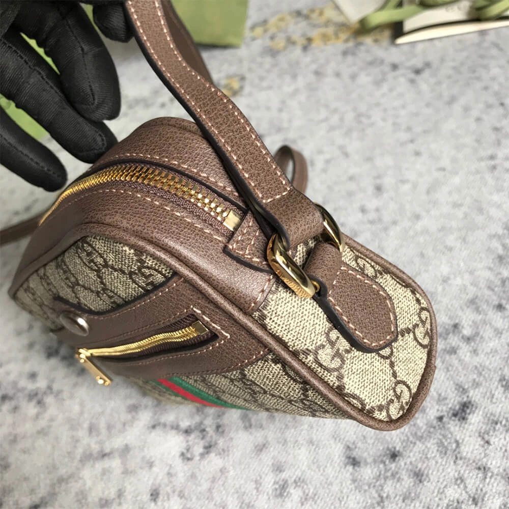 Ophidia GG Supreme mini bag Seasonal 983