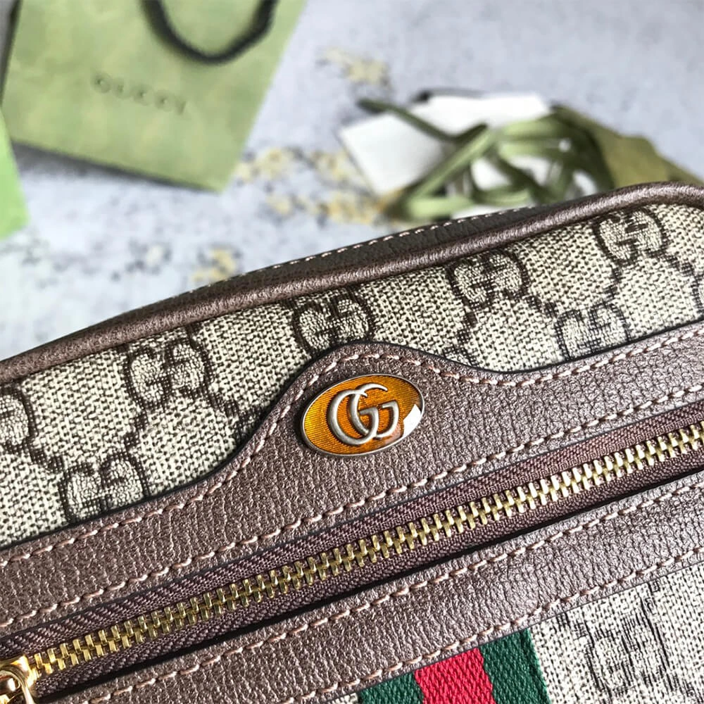 Ophidia GG Supreme mini bag Seasonal 983