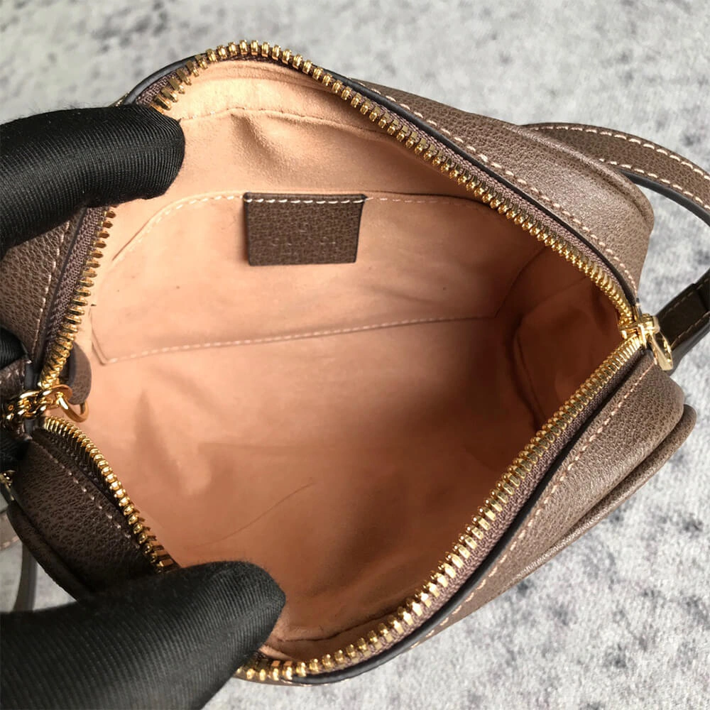 Ophidia GG Supreme mini bag Seasonal 983