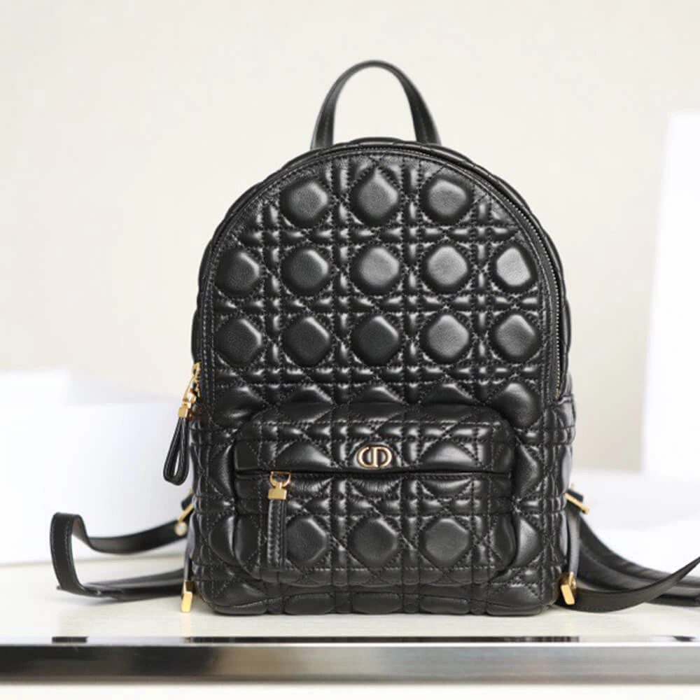 SMALL DIOR BACKPACK Breathable 1377
