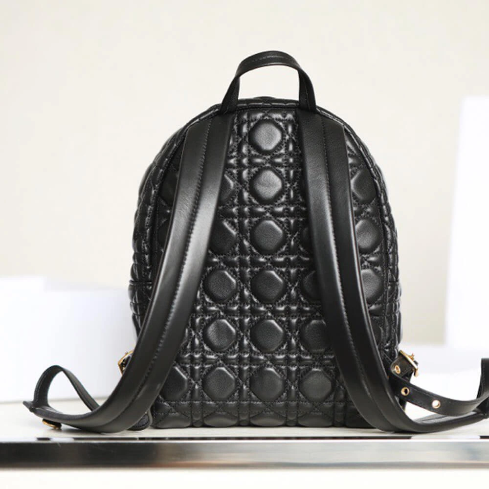 SMALL DIOR BACKPACK Breathable 1377