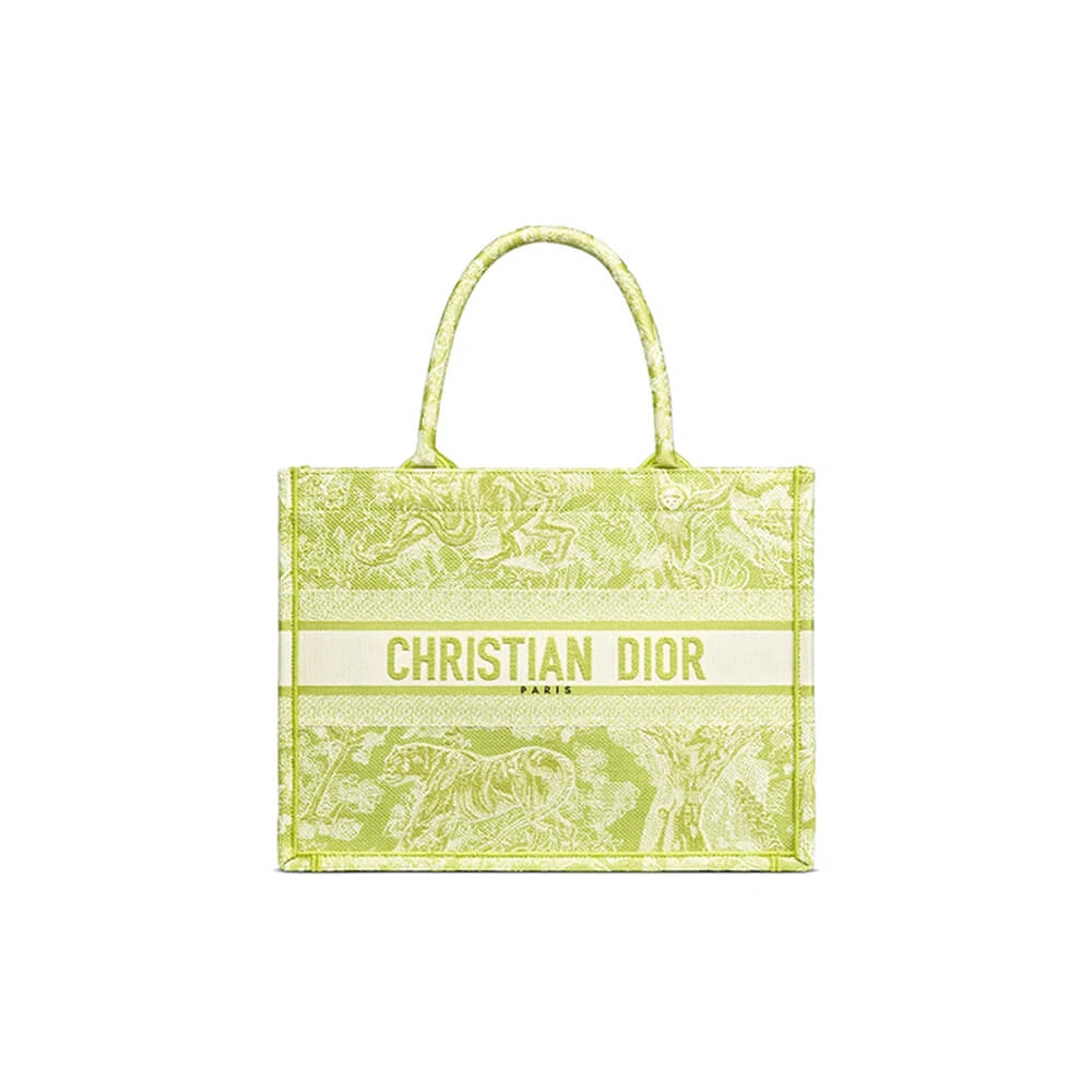 SMALL DIOR BOOK TOTE Casual 1359