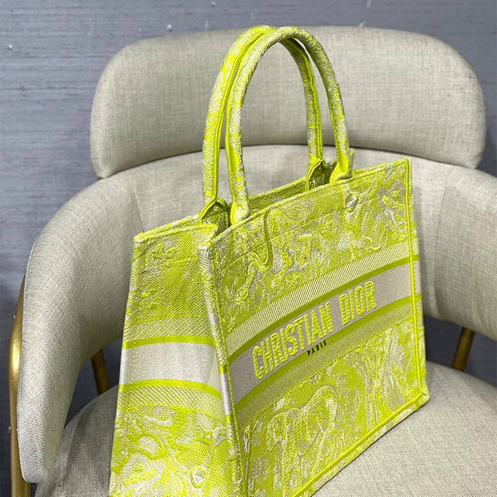 SMALL DIOR BOOK TOTE Casual 1359