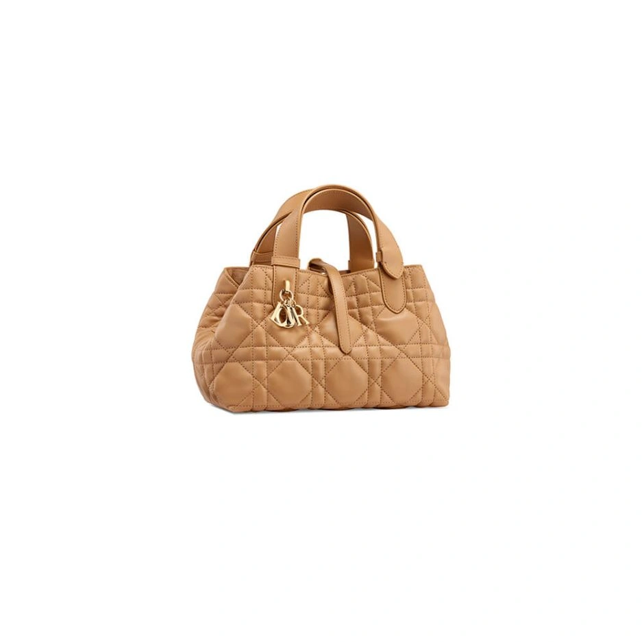 MoistureWicking SMALL DIOR TOUJOURS BAG 1338