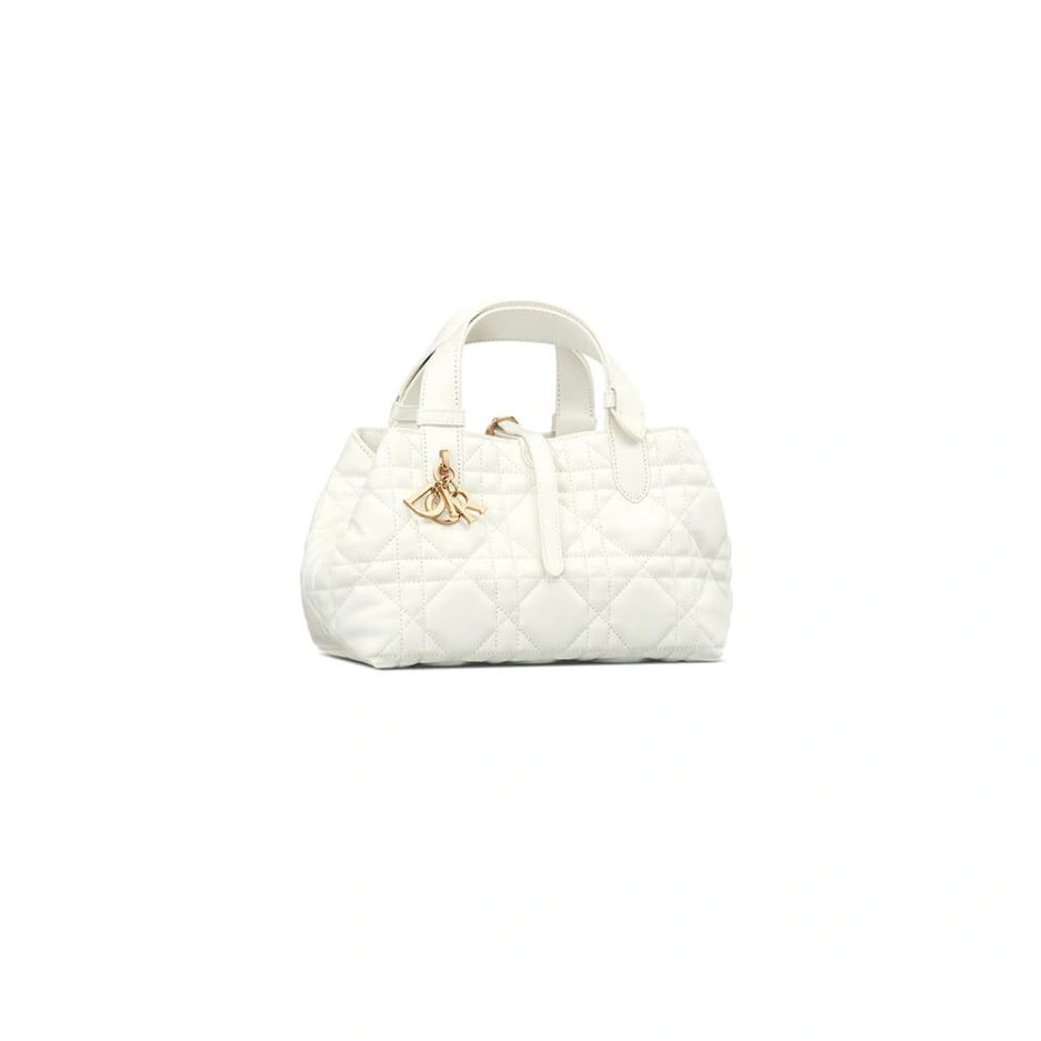 SMALL DIOR TOUJOURS BAG TechFriendly 1301