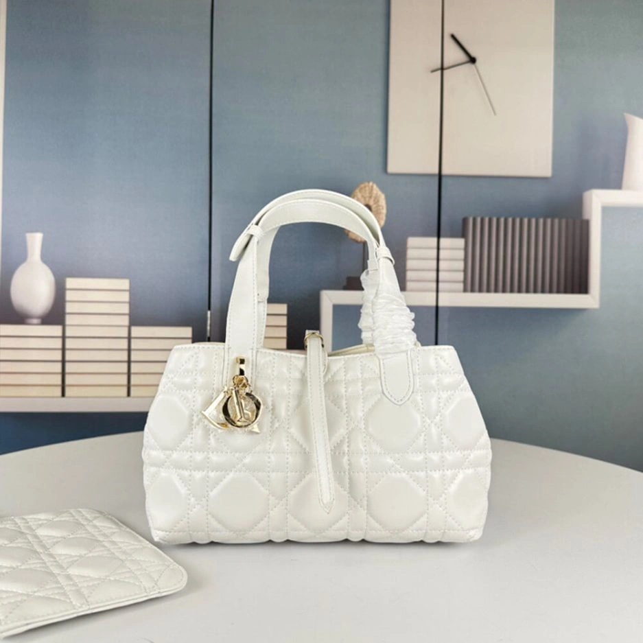 SMALL DIOR TOUJOURS BAG TechFriendly 1301