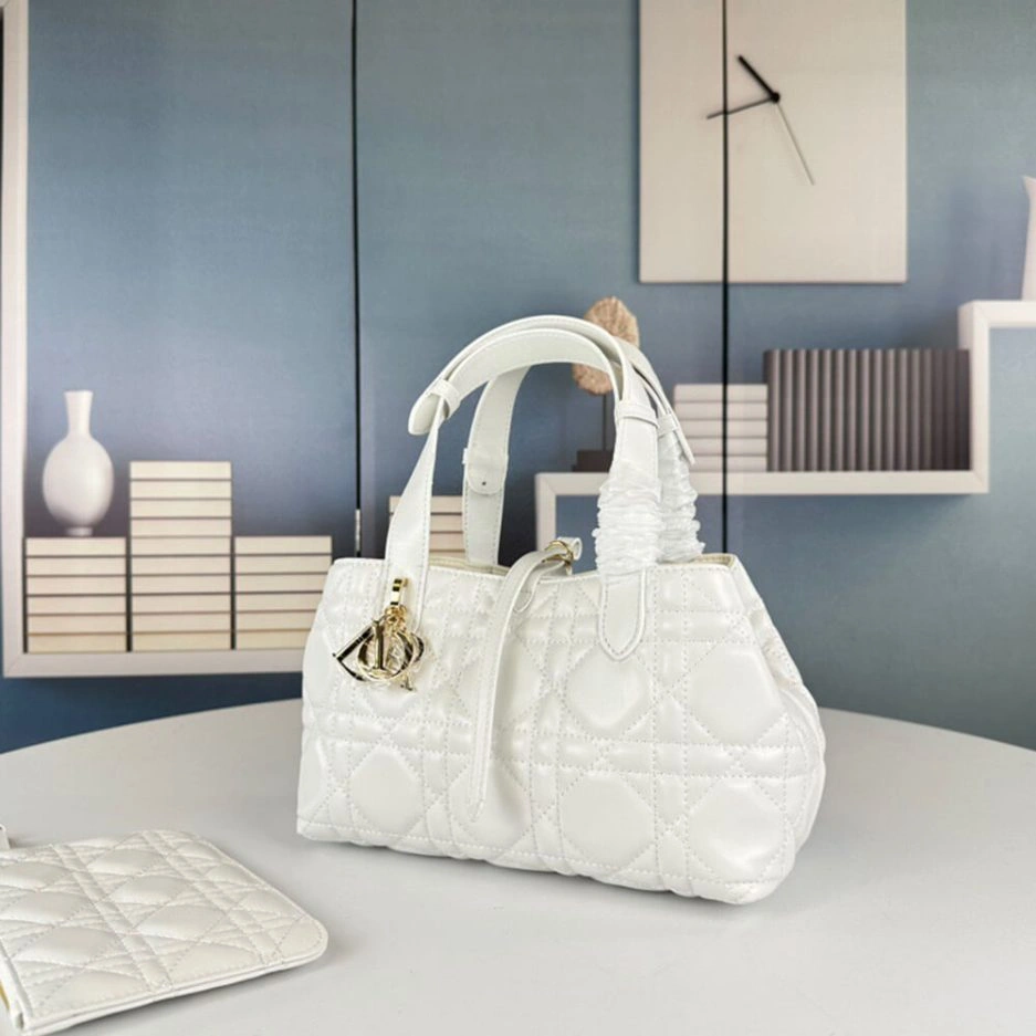 SMALL DIOR TOUJOURS BAG TechFriendly 1301