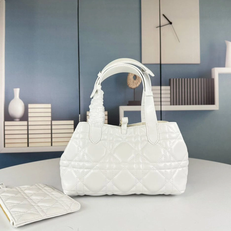 SMALL DIOR TOUJOURS BAG TechFriendly 1301
