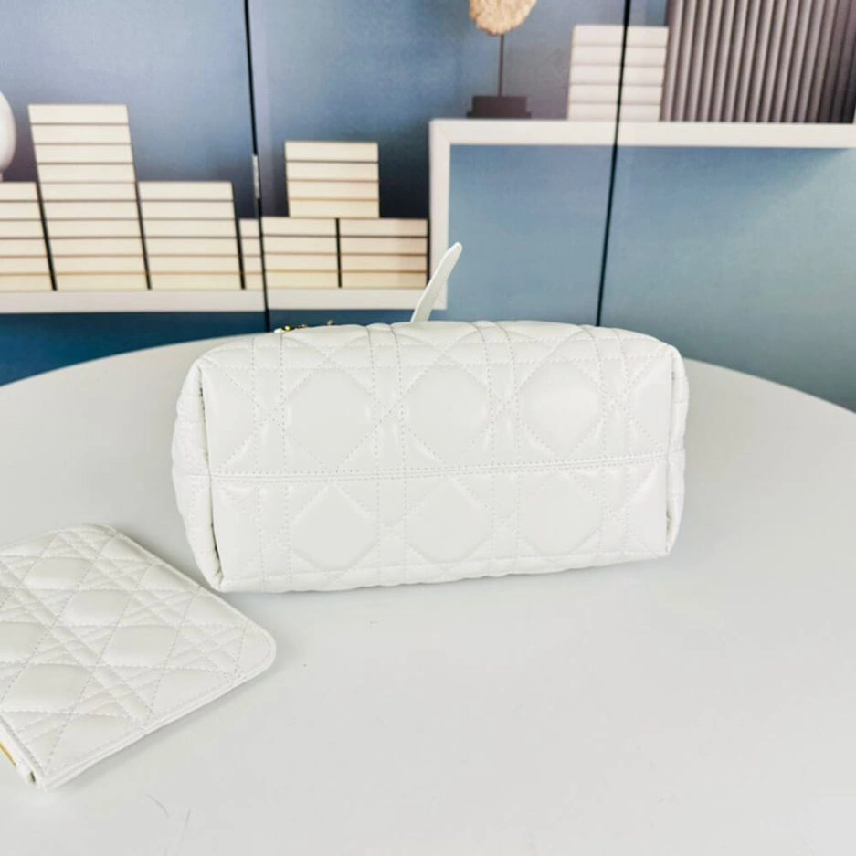 SMALL DIOR TOUJOURS BAG TechFriendly 1301