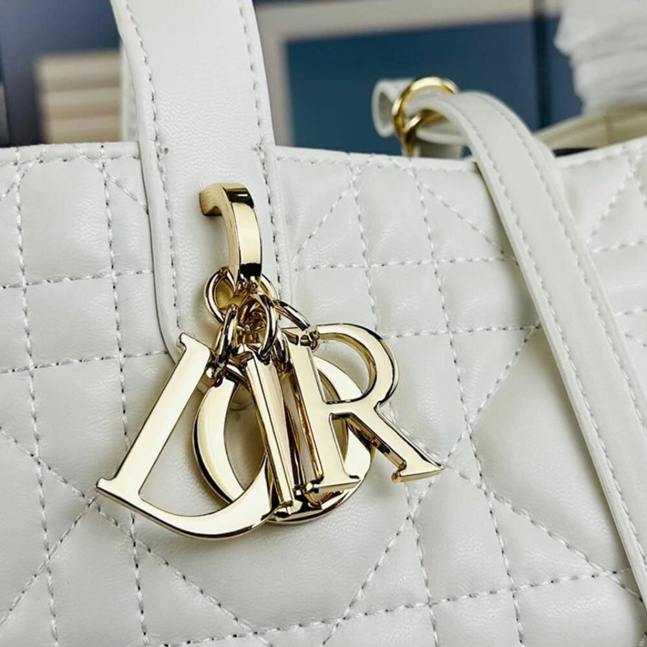 SMALL DIOR TOUJOURS BAG TechFriendly 1301