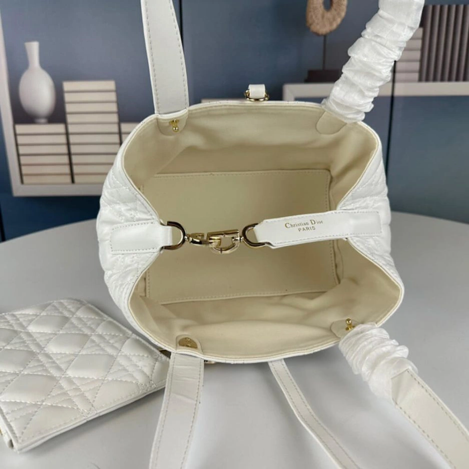 SMALL DIOR TOUJOURS BAG TechFriendly 1301