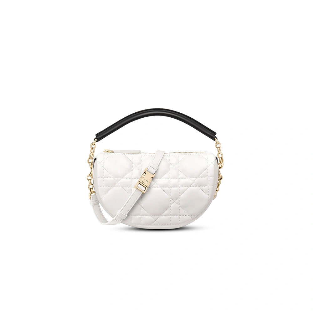 TechFriendly SMALL DIOR VIBE HOBO BAG 1309