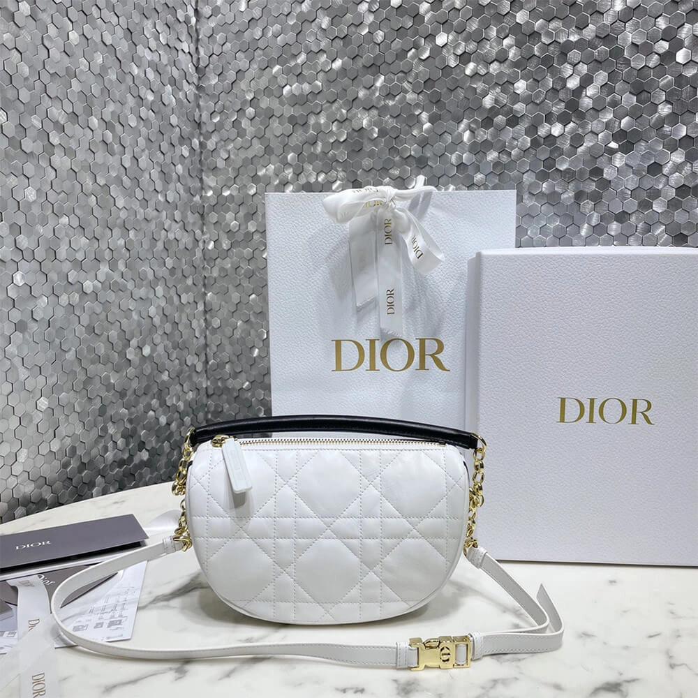 TechFriendly SMALL DIOR VIBE HOBO BAG 1309