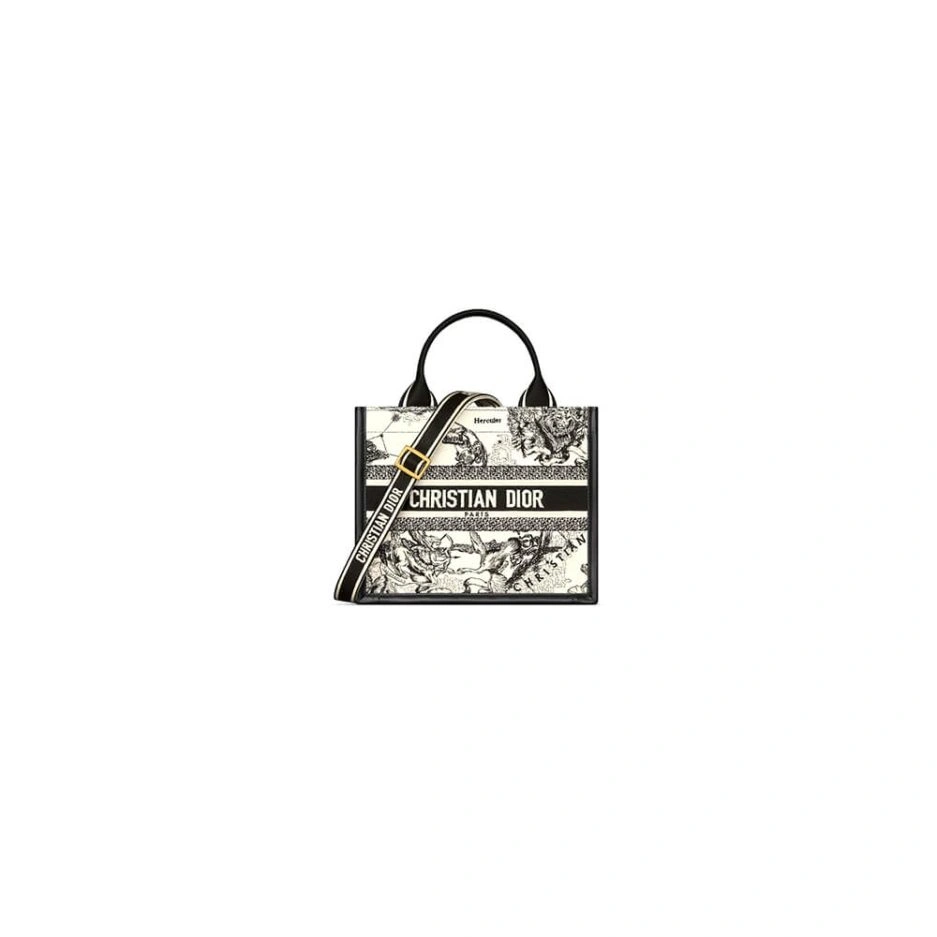 Small Dior Book Tote Elegant 1267