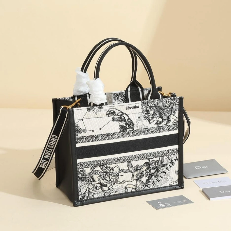 Small Dior Book Tote Elegant 1267