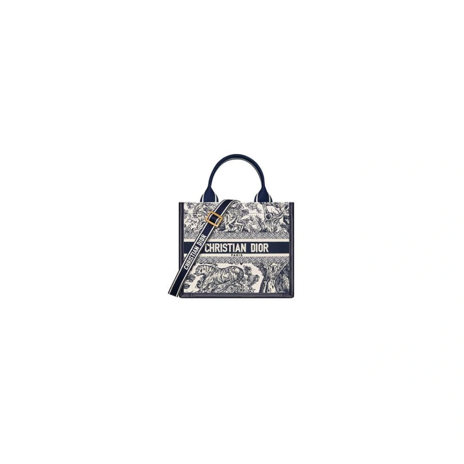 Small Dior Book Tote Popular 1317