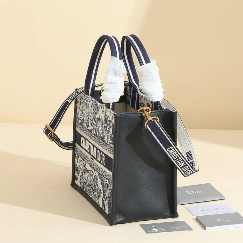 Small Dior Book Tote Popular 1317