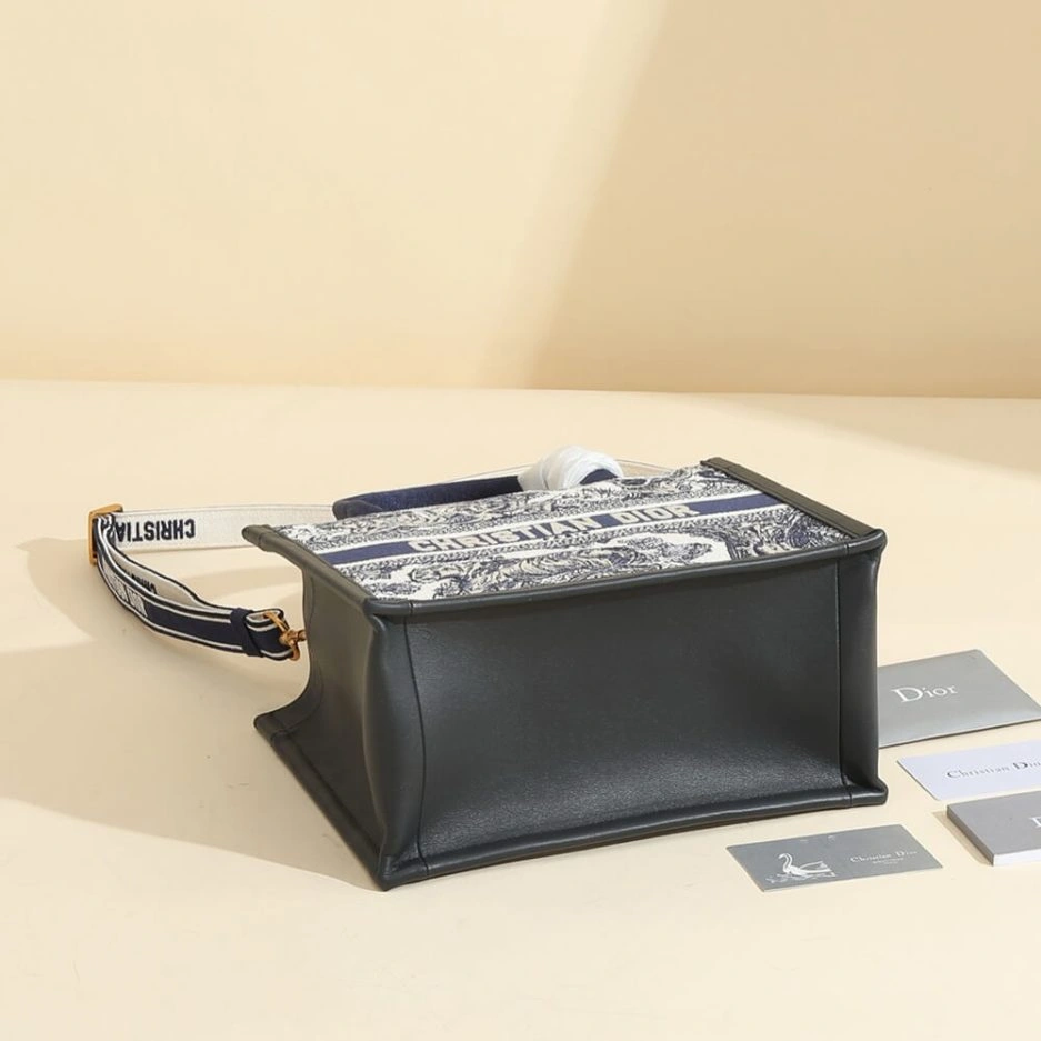 Small Dior Book Tote Popular 1317