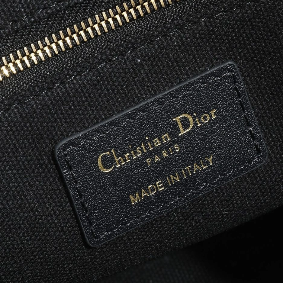 Small Dior Book Tote TravelReady 1348