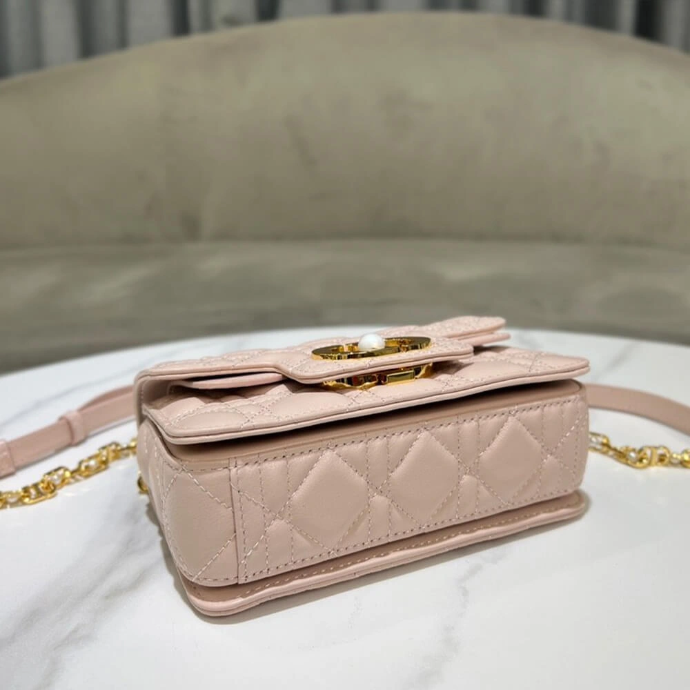 Small Dior Jolie handbag Unique 1291